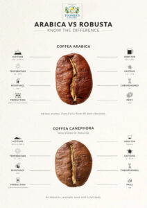 toomers coffee roasters where do coffee beans come from arabica vs robusta