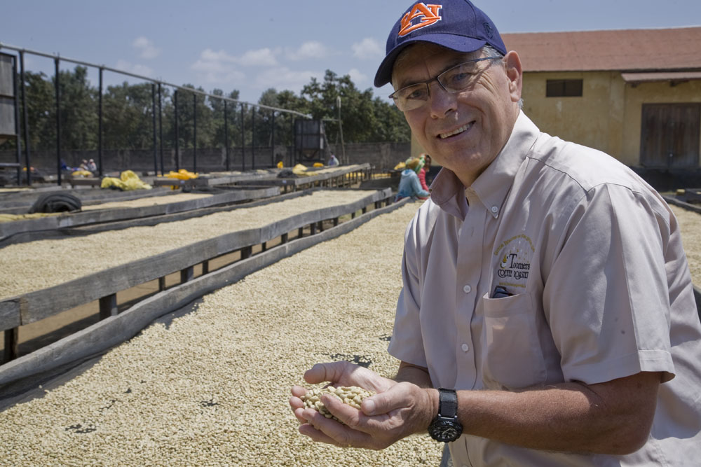 toomers coffee roasters where do coffee beans come from drying coffee beans in the sun low acid coffee family owned coffee roasters