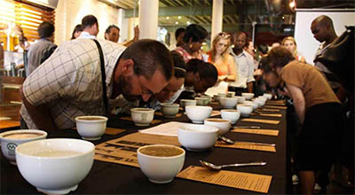 toomers_coffee_roasters_cupping_group