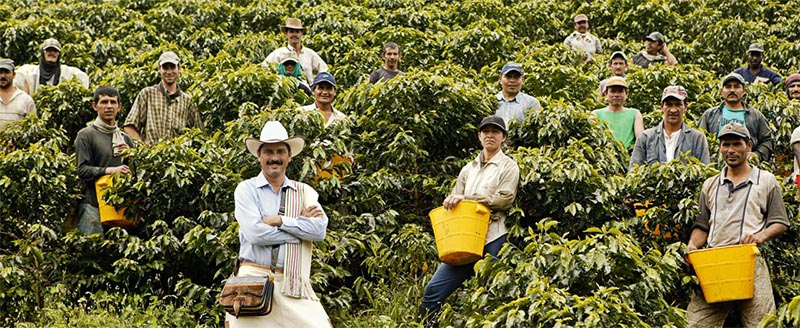 toomers_coffee_roasters_colombian_farmers