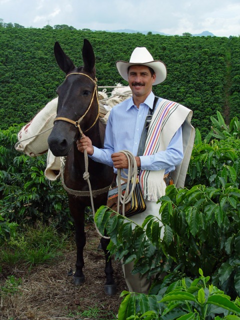 Colombian Supremo Coffee - 12 oz