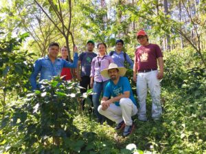 honduras_growers