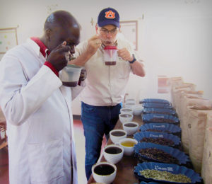 cupping_peaberry_coffee_tanzania