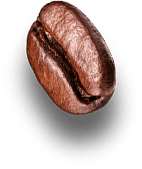 toomers coffee low acid auburn city blend